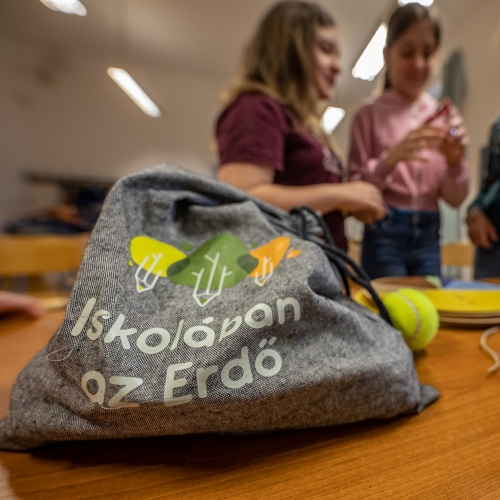 Augusztusban indul az Iskolában az Erdő Program őszi üteme