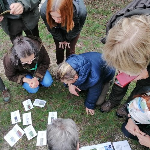 19. Európai Erdőpedagógiai Kongresszus Visegrádon