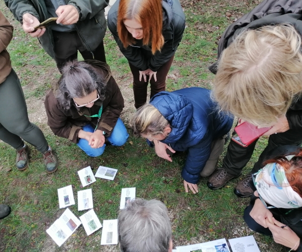 19. Európai Erdőpedagógiai Kongresszus Visegrádon