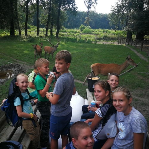 Nyomkereső – Őszi napközi