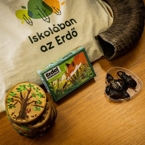 Regisztráció a 2026-os Iskolában az Erdő Programra